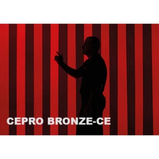 Lamely BRONZE-CE, AEK